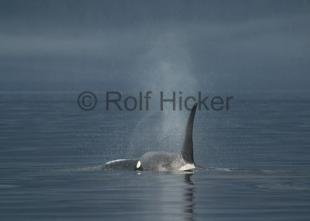 photo of CRW 9035