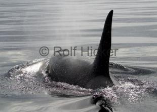 photo of CRW 9043