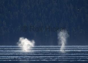 photo of CRW 9175