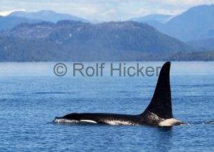 photo of CRW 9233