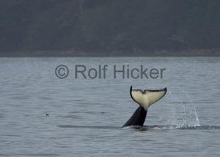 photo of CRW 9489