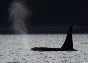 photo of CRW 9790