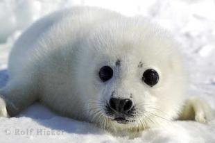 photo of Cute Babys