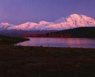 photo of Mount McKinley Denali National Park Alpenglow
