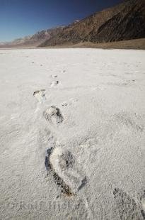 photo of Picture Of Desert Salt Footprints