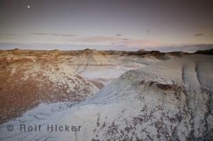 photo of Dinosaurs