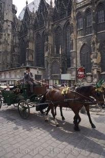 photo of Downtown Vienna Austria Horse Buggy Rides