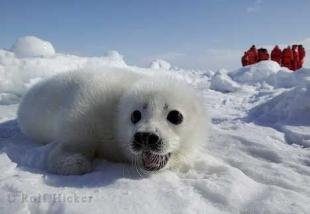 photo of ecotours canada