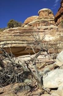 photo of Elephant Hill Canyonlands
