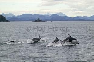 photo of F76T5773
