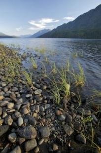 photo of Nimpkish Lake Rocks