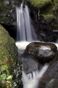 photo of Falling Water