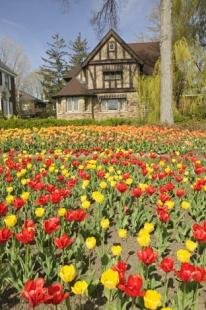 photo of Flower Pictures