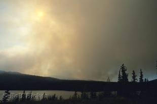 photo of Forest Fire