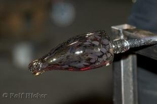 photo of Glass Bottles