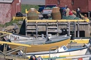 photo of Grand Bank Fishing Boats Newfoundland