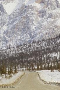 photo of gravel road