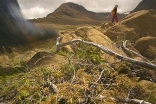 photo of Gros Morne National Park Tablelands
