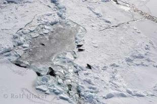 photo of Gulf St Lawrence