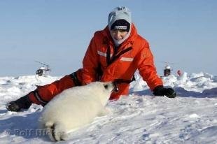 photo of Help Save Seals