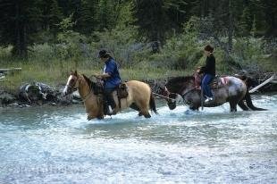 photo of Horseback Riding