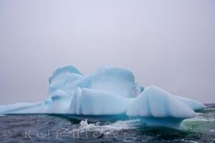 photo of Iceberg Melting Great Caribou Island Labrador