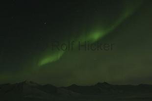 photo of Arctic Lights