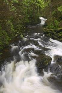 photo of Inside Passage River