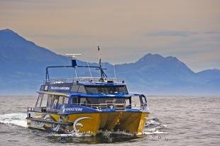 photo of Kaikoura Whale Watching Boat Wheketere NZ