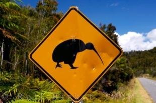 photo of Kiwi Sign South Island