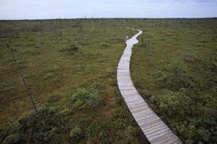 photo of kouchibouguac