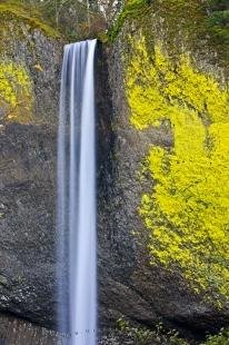 photo of Latourell Falls Oregon USA