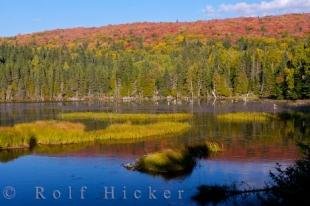 photo of Laurentides Scenery Mont Tremblant Provincial Park Quebec