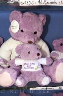 photo of Lavender Teddy Bears