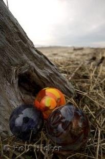 photo of Lincoln City Treasures