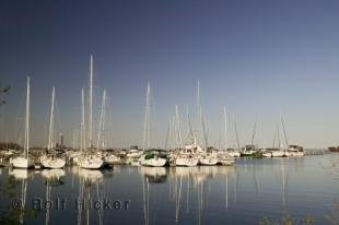 photo of Marina