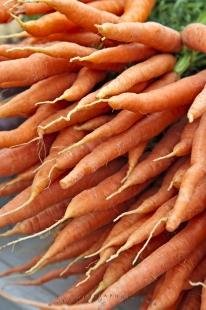 photo of W W Boyce Farmers Market Produce Fredericton New Brunswick Canada