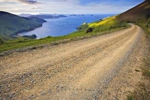 photo of Marlborough Sounds Gravel Road
