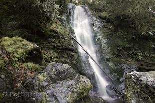 photo of merriman falls image