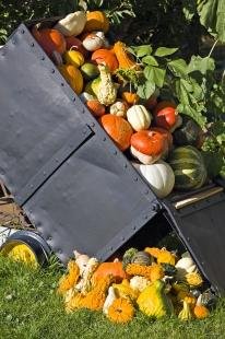 photo of Mine Cart Pumpkin Squash Crops Okanagan