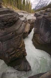 photo of Mistaya River