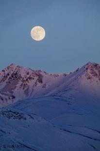 photo of Moon Picture
