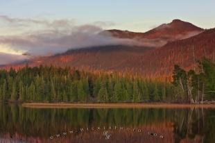 photo of Mountain Forest Cloud Formations Picture