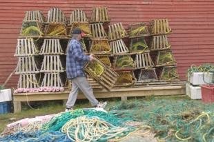 photo of Newfoundland Lobster Traps