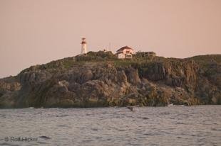 photo of newfoundland quirpon lighthouse