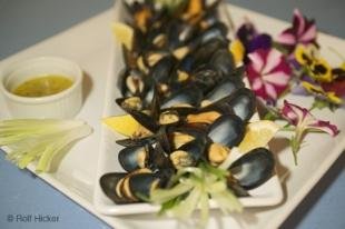 photo of newfoundland F76T2723