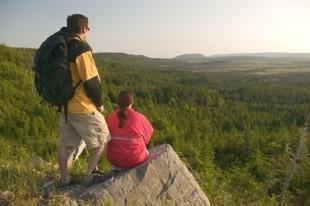 photo of newfoundland F76T3998