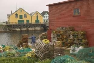 photo of Newfoundland F76T7557