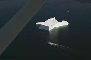 photo of newfoundland F76T7866