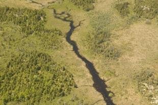 photo of aerial images